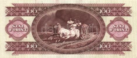 1993. 100Ft (10x) egymás utáni sorszámmal és nyomdai festékfoltokkal T:I