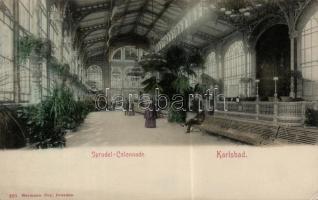 Karlovy Vary Sprudel colonnade (EK)