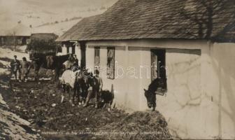 WWI Eastern front, Slavsko (Hadifénykép kiállítás)