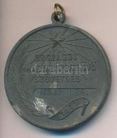 1951. "Országos Magyar Sportlövő Szövetség" cink díjérem (40mm) T:2
