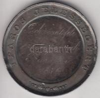 1876. "Az Országos Magyar Ipartestület Által Kiadott Díszérem / Iparos Jelességért Gschwindt-fé...