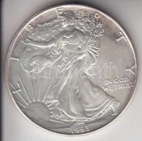 Amerikai Egyesült Államok 1993. 1$ Ag 1oz. "Liberty" T:1-
USA 1993. Dollar Ag "Libert...