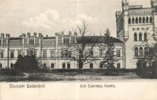 Galánta Esterházy-kastély / castle