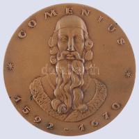 DN "Comenius 1592-1670 - Sárospatak" Br emlékérem (70mm) T:2