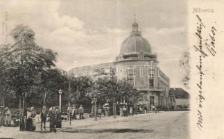 Szávaszentdemeter, Mitrovica; Srpski Dom / hall