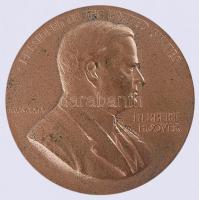 Amerikai Egyesült Államok 1929. "Herbert Hoover elnök" Br emlékérem (75mm) T:2-
USA 1929. ...