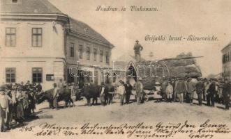 Vinkovce, Vinkovci; giant tree