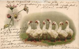 Geese, flower, litho (fa)