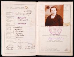 1934 Csehszlovák útlevél /  1934 Czechoslovakian passport