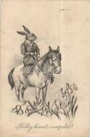 Easter, rabbit on horseback (wet damage)