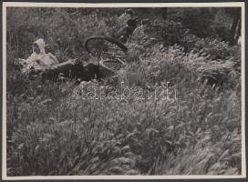 Kinszki Imre (1901-1945): Gyermek a fűben (1933). Vintage alkotás, pecséttel, aláírással 17×22 cm