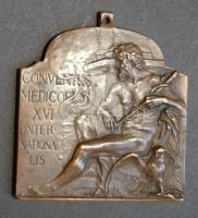 1909."Conventus Medicopum XVI.Internationalis Budapestini" szögletes orvosi bronz érem  szign.:Ifj.Vastagh Gy. T:2 RR!!
