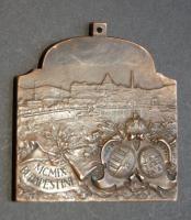 1909."Conventus Medicopum XVI.Internationalis Budapestini" szögletes orvosi bronz érem  sz...