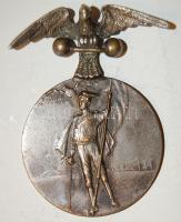 cca.1900.vívóérem T:2/3