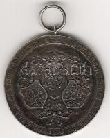 D.Reich 1926. "Hamburgi Lövészverseny" T:2