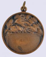 ~1930. Bronz vívó sportérem (30mm) szign.: LUDWIG T:2