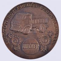 ~1980. "A Közúti Közlekedés Szolgálatában AUTÓKER" Br plakett (97mm) dísztokban T:1-
