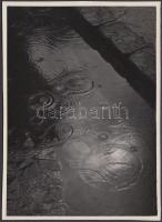 cca 1935 Kinszki Imre (1901-1945): Bolgár Esőcseppek. Vintage fotó, hátoldalán szerzői pecséttel jelzett, 17,5x13cm