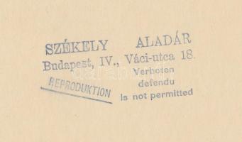 Székely Aladár (1870-1940): Ady Endréről készült 2 db fotó: cca 1920  Ady Endre portréja. Vintage fo...