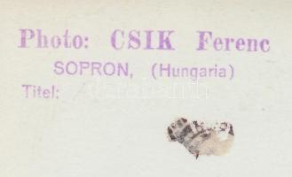 1944 Csík Ferenc (1894-1984): Kivándorló. Vintage fotó, hátoldalán szerzői pecséttel, 21x17,5cm