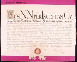 Modern reprodukció  XVIII és XIX sz-i fejléces orvosi okmányokról és oklevelekről