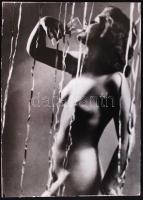 1940 Gisser Gyula (1901-1986): Farsang, vintage alkotás. Kartonra ragasztva. /  1940: Carnival. Vintage photo. On cartboard. 39x28 cm