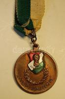 1948. "Népi bajnok" részben email bronz érem szalaggal T:2