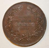 1846. "József nádor-...fél százados emlékért" nagyalakú bronz érem Szign:I.D.Boehm T:3 ph....