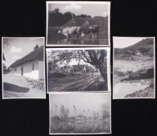 Cca 1940 Belházy Dezső fotóművész: 5db Magyaros stílus felvétele. Vintage alkotás, hátoldalukon szerzői aláírással, 13x18 cm