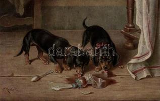 Dogs s: Reichert