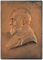 Zsákodi Csiszér János (1883-1953) "Kiss József 1843-1913" Br emlékplakett (80x57mm) T:1-