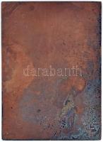 Zsákodi Csiszér János (1883-1953) "Kiss József 1843-1913" Br emlékplakett (80x57mm) T:1-