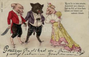 1899 Pigs, humour, litho (Rb)