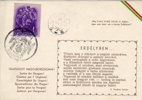 Irredenta verses lap "Kassa viszzatért" alkalmi bélyegzéssel