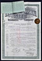 Budapest 1910. "New-York Életbiztosító Társaság" kötvénye