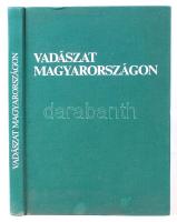 Vadászat Magyarországon. Bp., 1980, Idegenforgalmi Propaganda és Kiadó Vállalat. Kiadói egészvászon kötésben, gazdag képanyaggal