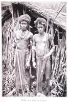 Martin Johnson: Mit dem Kurbelkasten bei den Menschenfressern. Abenteuer auf den Neuen Hebriden. Lei...