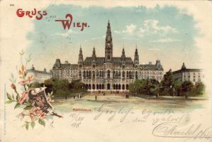 1898 Wien Litho