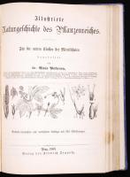 Dr. Alois Pokorny: Illustrierte Naturgeschichte des Thierreiches; Illustrierte Naturgeschichte des P...