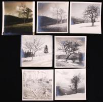 Kb 50 db régi fotó erdőkről, erdészekről, túrázókról, 9×9 cm