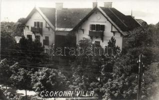 Balatonfüred, Csokonai-villa