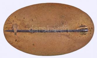 Osztrák-Magyar Monarchia 1917. Első Világháborús zománcozott propaganda jelvény Központi hatalmak cí...