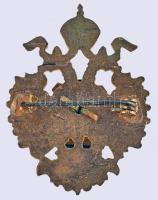 Osztrák-Magyar Monarchia ~1915. Első Világháborús zománcozott propaganda jelvény az osztrák sassal é...