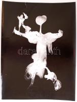 CCa 1970 Dr. Lajos Sándor: Izopiknikus metanida. Fotogram, vintage kópia, sarkán hajtott, 30x40 cm