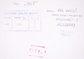 Cca 1960 Dezső Pál: Akt. Több külföldi kiállításon szerepelt, jelezve, 30x40 cm