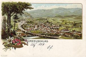 1898 Müzzuschlag Litho (EB)
