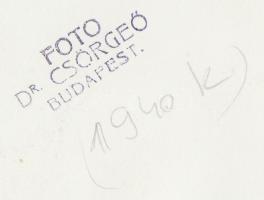 cca 1940 Dr. Csörgeő Tibor (1869-1968): Figyelem! Vintage fotó, hátoldalán szerzői pecséttel, 18x13c...