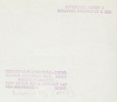 1922 Kerny István (1879-1963): Balatoni táj. Vintage fotó, hátoldalán szerzői pecséttel, 18x24cm