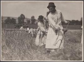 1923 Kankowszky Ervin (1884-19445): Aratás. Vintage fotó, hátoldalán szerzői pecséttel, 18x24cm