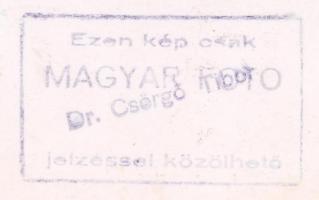 Cca 1960 Dr. Csergő Tibor: A Fehérvári úti fogászati rendelő. Pecséttel jelzett, 30x40 cm